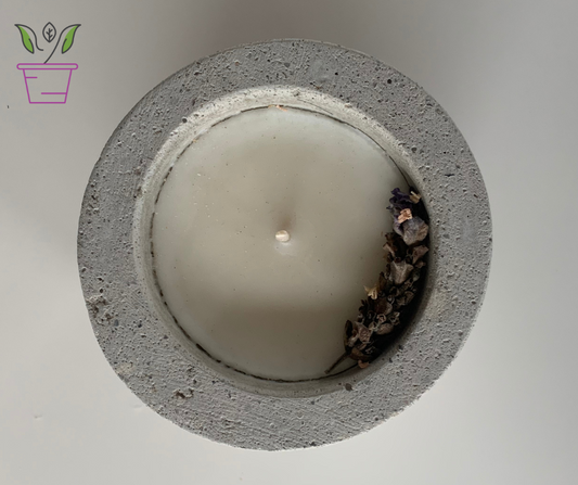 Velas (Yo Soy Luz): conecta con tu luz e ilumina tu camino