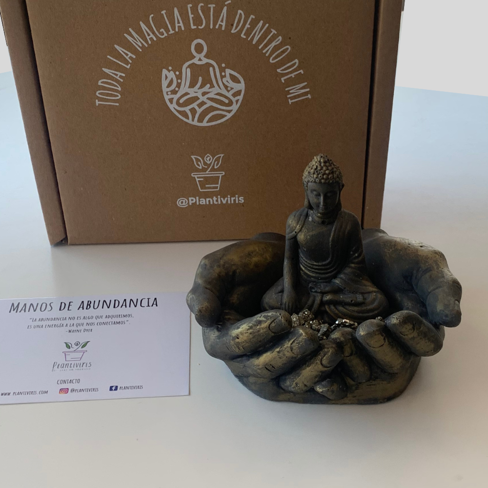 Manos de Abundancia
