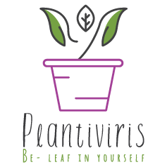 Plantiviris