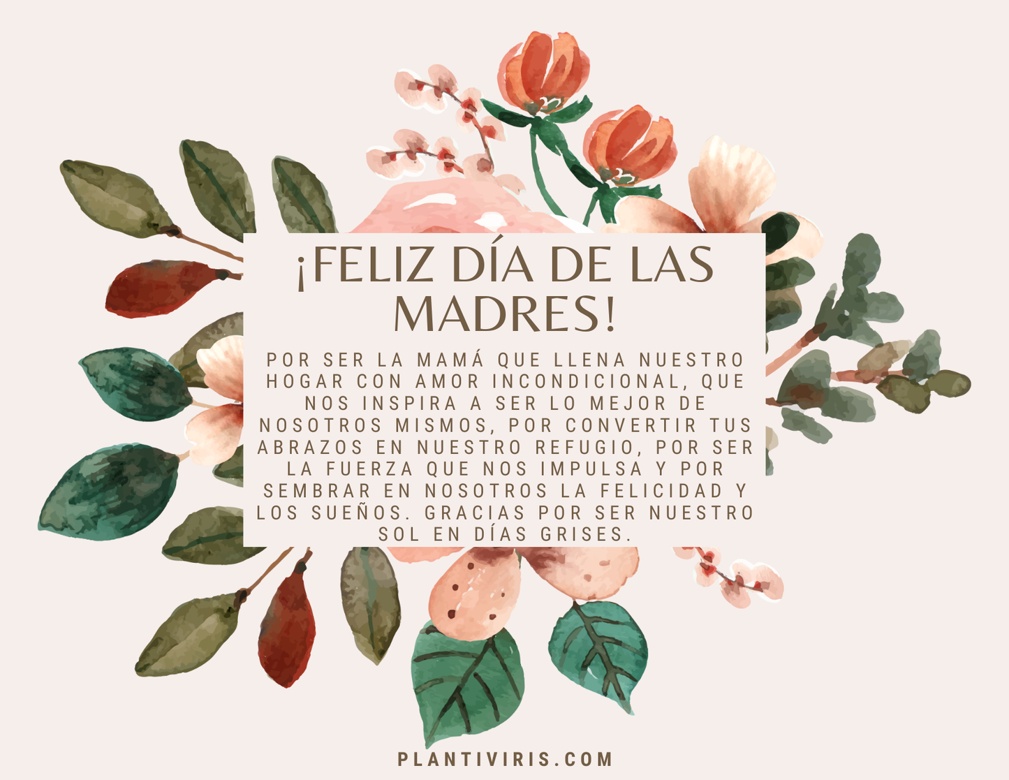 Kit Día de las Madres — Manos de Luz 💗