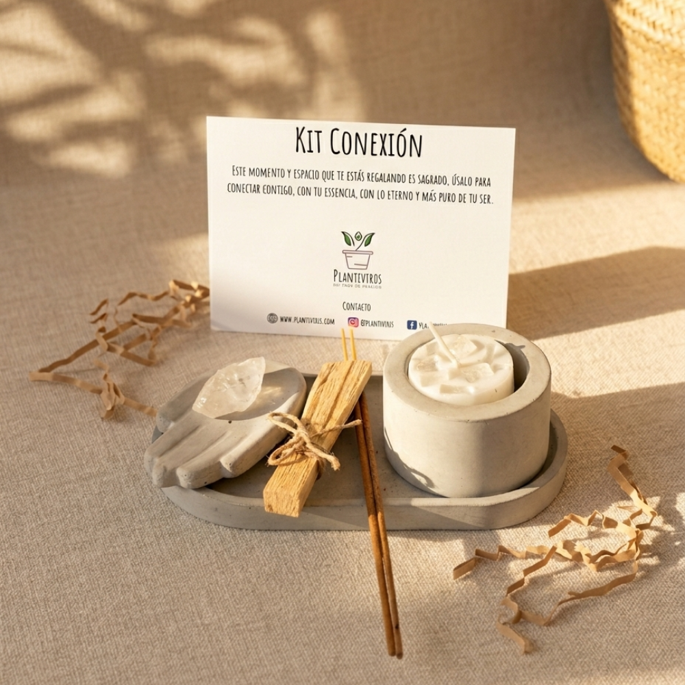 Elementos del Kit Conexión Plantiviris con base de concreto, vela, cuarzo, Palo Santo, incienso y tarjeta guía