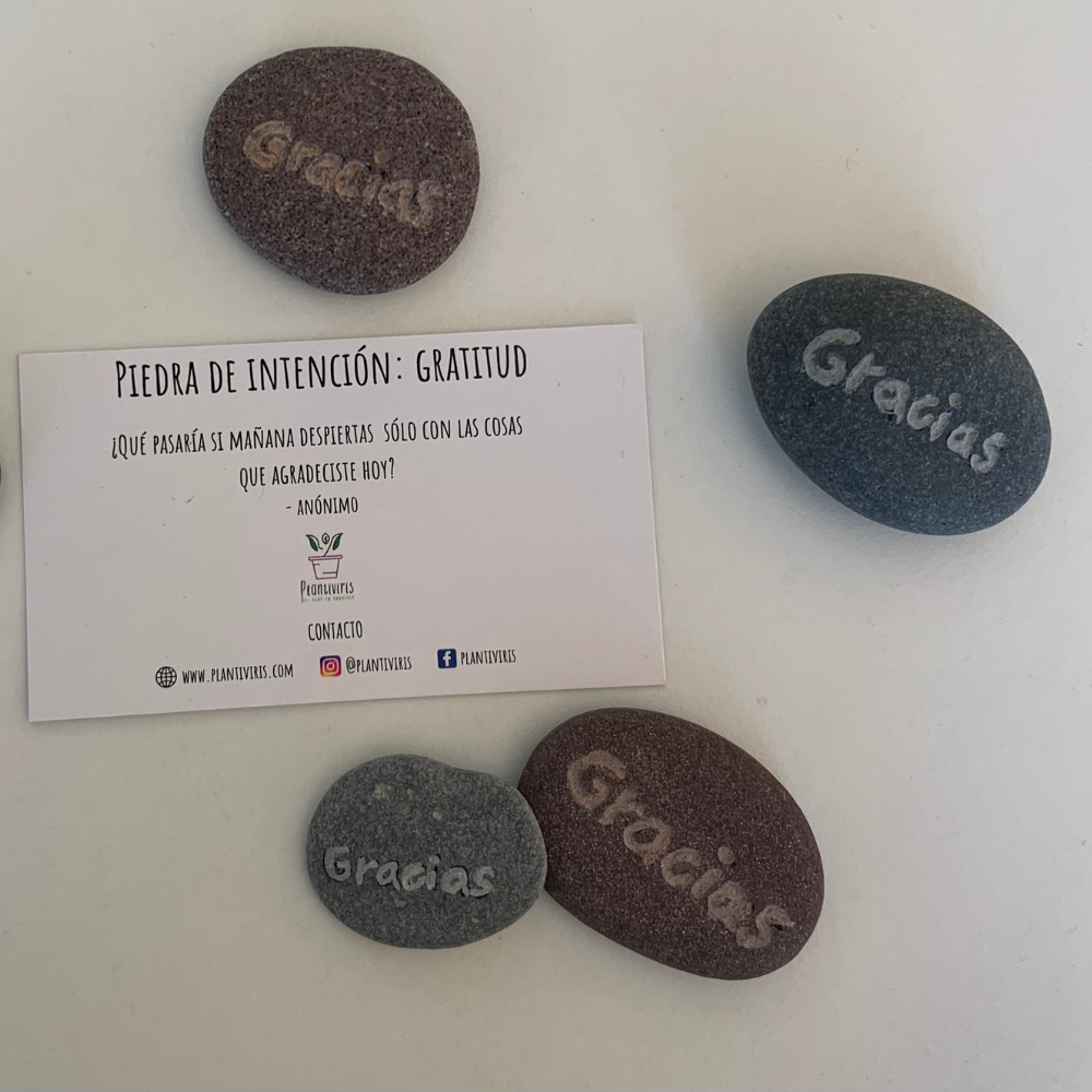 Piedra de Intención Plantiviris — tarjeta y costalito incluidos