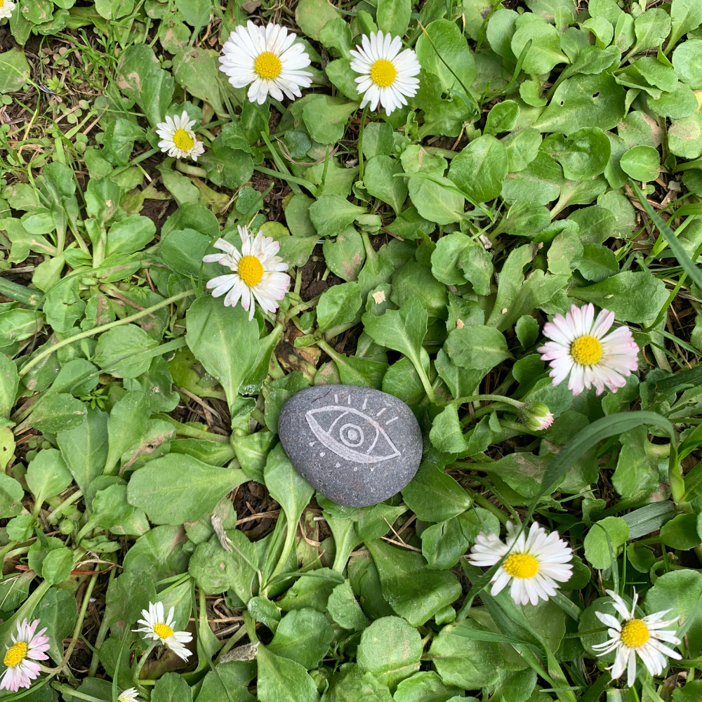 Piedra de Intención Plantiviris como regalo pequeño con significado