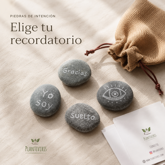 Piedras de Intención Plantiviris — elige tu recordatorio entre cuatro intenciones