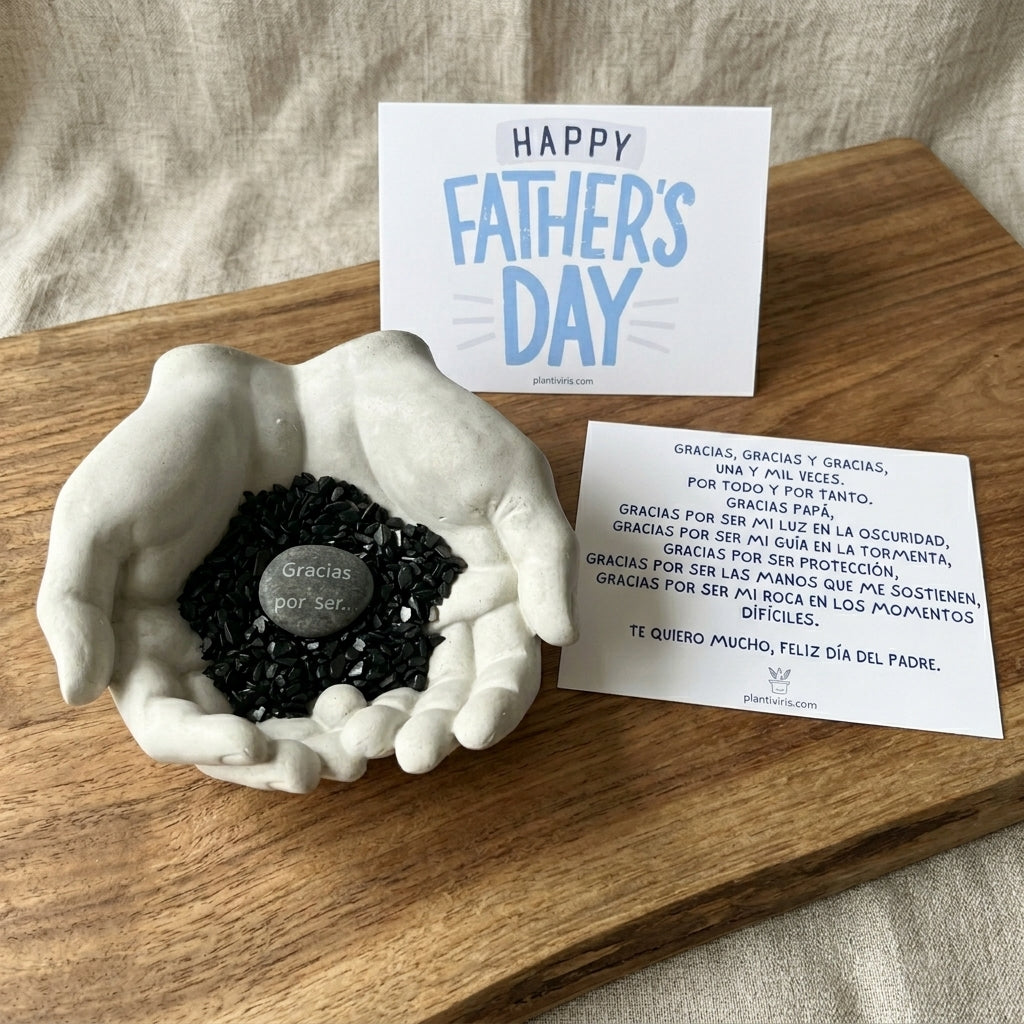Kit Padrísimo Plantiviris para Día del Padre con Manos grises, cuarzo negro, piedra Gracias por ser y tarjeta especial para papá