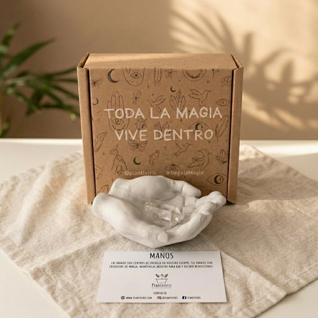 Manos de Concreto con caja kraft Plantiviris y palo santo