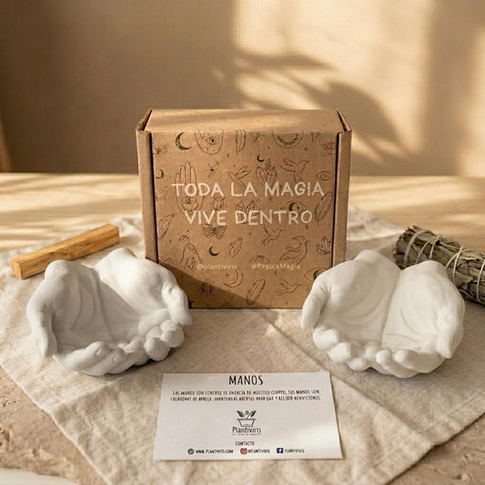 Manos de Concreto Plantiviris con caja kraft y tarjeta, regalo con intención